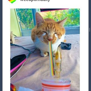 Blake Oldham - Facebook Profile Picture of Blake Oldham (@blake.oldham.10) on Facebook