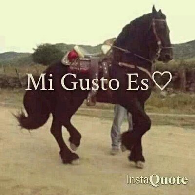 Profile Picture of Jose Barron (@josebarron869) on Twitter