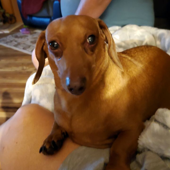 Profile Picture of Mr.Buster (@sandymanningobremski) on Tiktok
