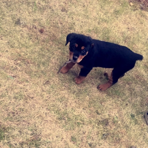 Profile Picture of Madison Stettler (@madsmbs) on Poshmark