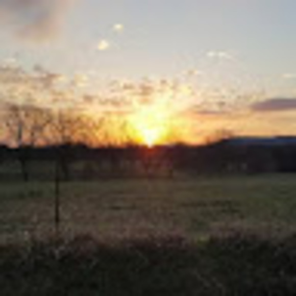 Profile Picture of Matt Metcalf (@mattmetcalf400) on Poshmark