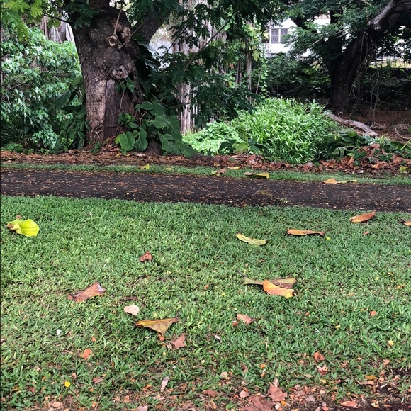 Profile Picture of Thorsten Hertel (@entenna) on Poshmark