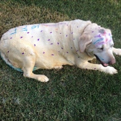 Jeff - Twitter Profile Picture of Jeff (@JeffSoape) on Twitter