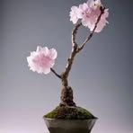 Profile Picture of Joseph Callistus (@Joseph-Callistus) on Facebook