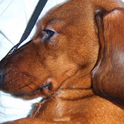 Profile Picture of Charlotte Geer (@charlottegeer9311) on Youtube