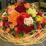 Profile Picture of Randa Asfour (@randa_asfour) on Instagram