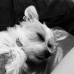 Profile Picture of Amelia Tilley (@amelia.tilley.336) on Instagram