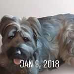 Profile Picture of Dawson schmidt (@schmidt_lax_player) on Instagram