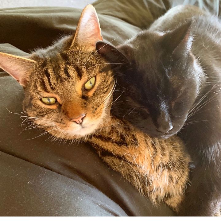 Profile Picture of Stan&Eric (@stanxeric) on Tiktok