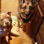 Profile Picture of Lisa Moriarty DiStefano (@lisa12290) on Instagram