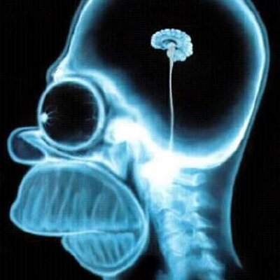 Profile Picture of Andre Le Pate (@AndreLePate1) on Twitter