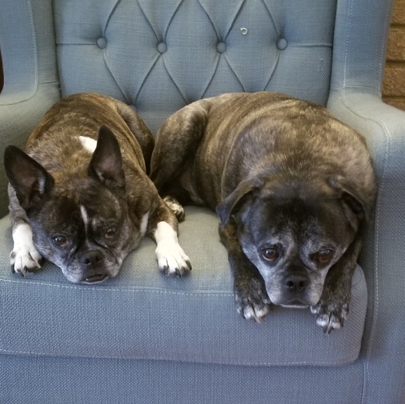 Profile Picture of Trisha Martinek (@trishamartinek) on Poshmark