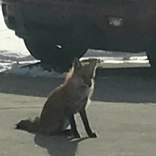 Profile Picture of John Dellar (@johndellar) on Instagram