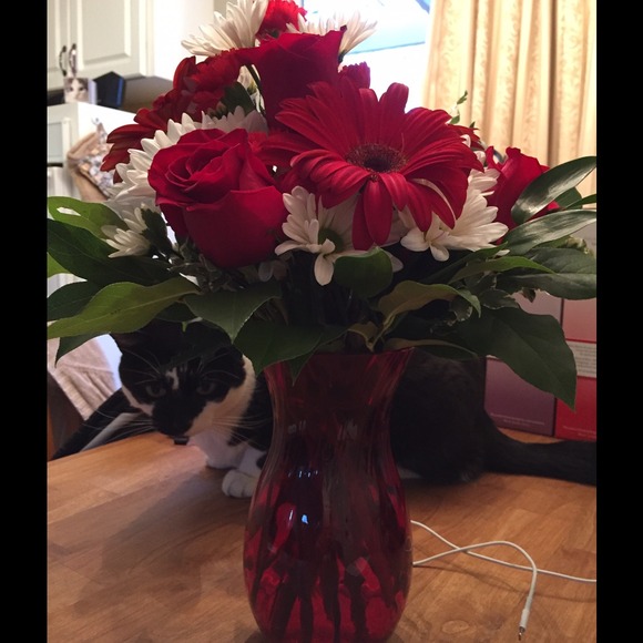 Profile Picture of Shawna Fallon (@sfallon13) on Poshmark