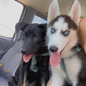 Profile Picture of Sonja Perez (@Thatfurmammi) on Youtube