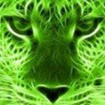 Jeanette Horner - Instagram Profile Picture of Jeanette Horner (@sparklingshrimp) on Instagram