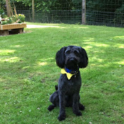 JB Brooks - Youtube Profile Picture of JB Brooks (@jbbrooks3139) on Youtube