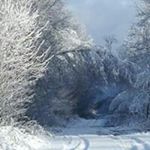 Profile Picture of April Porter-corson (@portercorson) on Instagram