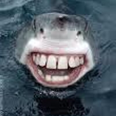 Profile Picture of Lefevre Frederic (@fred80100) on Twitter