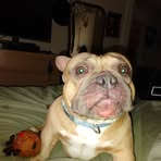 Profile Picture of Robert Seitz (@Robert-Seitz) on Facebook