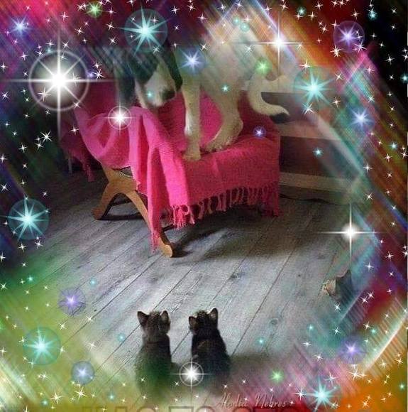 Profile Picture of Bill Bates (@billbates984) on Poshmark