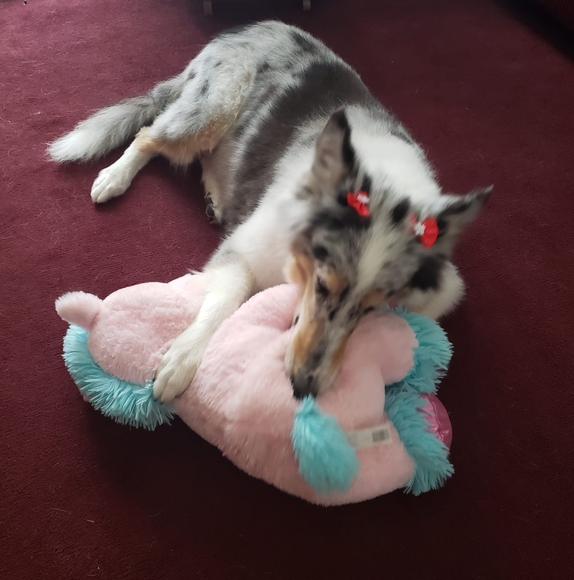 Profile Picture of Marchelle Olsem (@marchelleolsem) on Poshmark