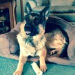 Profile Picture of Janet Compton (@j.nut) on Instagram