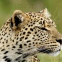 Profile Picture of Stephen Reuben Mbwam (@stephenskysere) on Twitter