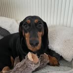 Profile Picture of Freya Doherty (@Freya-Doherty) on Facebook