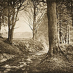 Chris Raymond - Flickr Profile Picture of Chris Raymond (@cray.69) on Flickr