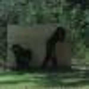 Christian Tsamoutales - Myspace Profile Picture of Christian Tsamoutales (@388937108) on Myspace