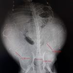 Profile Picture of Javier Cosio (@javicos1234) on Instagram