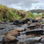 Profile Picture of Matthew Wilson (@Matthew-Wilson) on Facebook