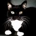 Profile Picture of Mark Cordell (@cordell1328) on Pinterest