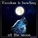 Profile Picture of Kenneth Hoagland Jr. (@kennethhoaglandjr) on Facebook