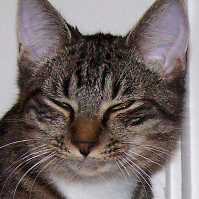 Profile Picture of Ken Benson (@KennyBender) on Twitter