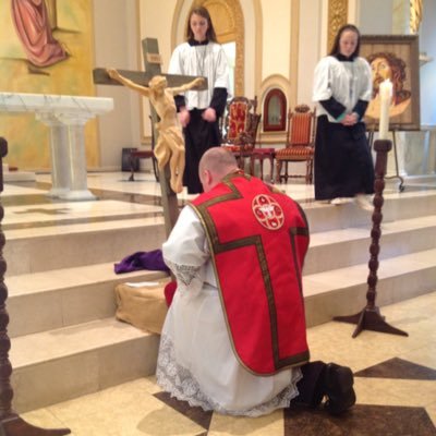 Profile Picture of Fr. Brian Seiler (@seiler_frbrian) on Twitter