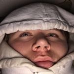 Profile Picture of Brandon Scribner (@scrib.spammm) on Instagram
