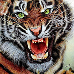 Profile Picture of Bailey Douglas (@valentinaseslavina) on Flickr