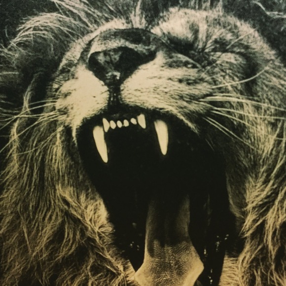 Kurt Weissner - Poshmark Profile Picture of Kurt Weissner (@kurtweissner) on Poshmark