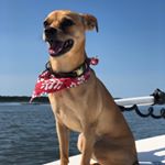 Profile Picture of Travis Shepard (@tarvis_shpard) on Instagram