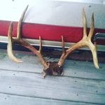 Profile Picture of Andrew Hess (@andyhess4011) on Instagram