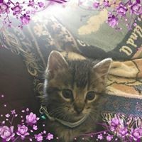 Vickie Connell - Quora Profile Picture of Vickie Connell (@vickie-connell) on Quora