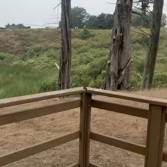 Profile Picture of Saghar Norouzi (@sagharno1371) on Poshmark