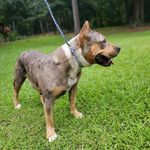 Profile Picture of Jeramy Jones (@young_homie_rock) on Instagram