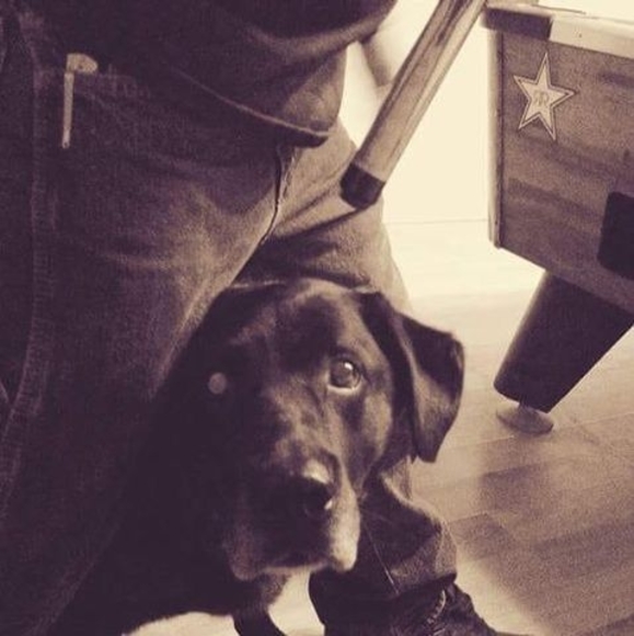 Profile Picture of Shawn Perales (@sap314) on Poshmark