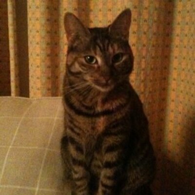 Profile Picture of Roland (@RolandMarshall4) on Twitter