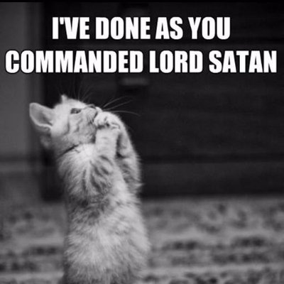 Profile Picture of Mike Palo (@Solitary_Mike) on Twitter