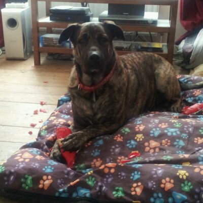 Profile Picture of Alexander Krajicek (@krajicek23) on Twitter