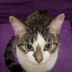 Profile Picture of Evan.Smith (@evansmith1884) on Instagram